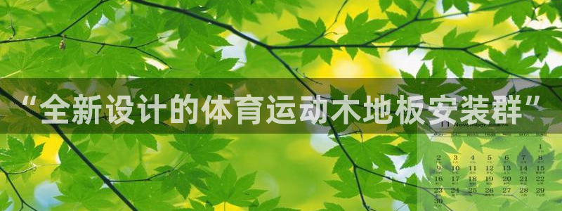 oety欧亿：“全新设计的体育运动木地板安装群”