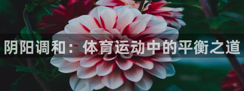 oety欧亿：阴阳调和：体育运动中的平衡之道