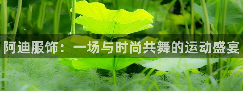 oety欧亿：阿迪服饰：一场与时尚共舞的运动盛宴