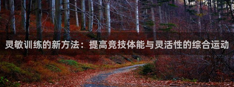 oety欧亿：灵敏训练的新方法：提高竞技体能与灵活性的综合运动