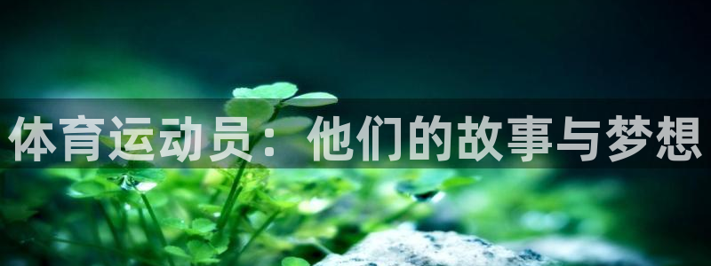 oety欧亿：体育运动员：他们的故事与梦想
