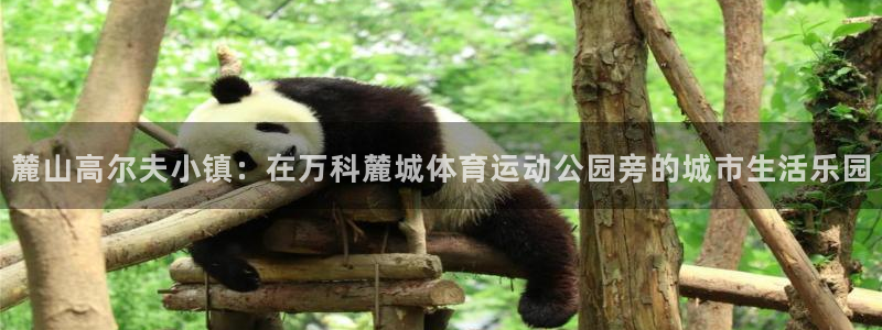 oety欧亿：麓山高尔夫小镇：在万科麓城体育运动公园旁的城市生活乐园