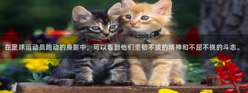 oety欧亿：在足球运动员跑动的身影中，可以看到他们坚韧不拔的精神和不屈不挠的斗志。