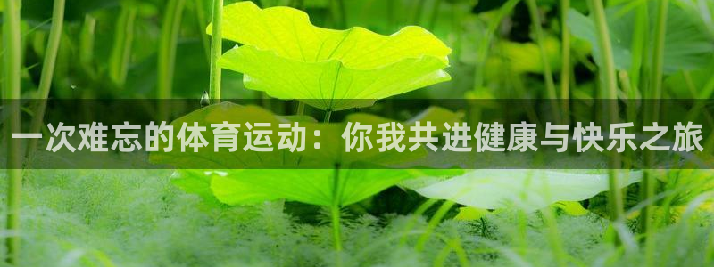 oety欧亿：一次难忘的体育运动：你我共进健康与快乐之旅