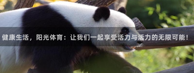 oety欧亿：健康生活，阳光体育：让我们一起享受活力与活力的无限可能！