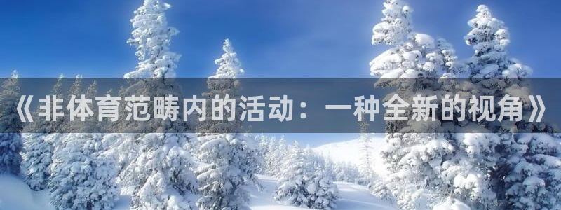 oety欧亿：《非体育范畴内的活动：一种全新的视角》